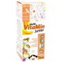 PINISAN Multi Vitamin Junior 250ml