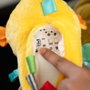 Baby Einstein Veilleuse Sea Dreams Seahorse Jaune