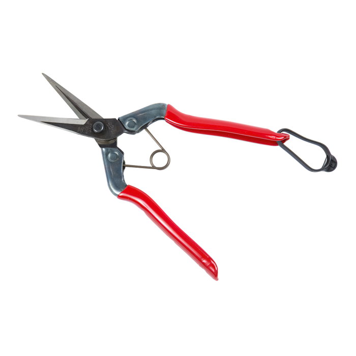 CHIKAMASA Sécateur de récolte T 552 185 mm CHIKAMASA Sécateur de récolte T 552 185 mm
