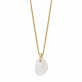 Collier Femme Skagen SKJ1552710