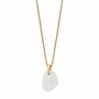 Collier Femme Skagen SKJ1552710
