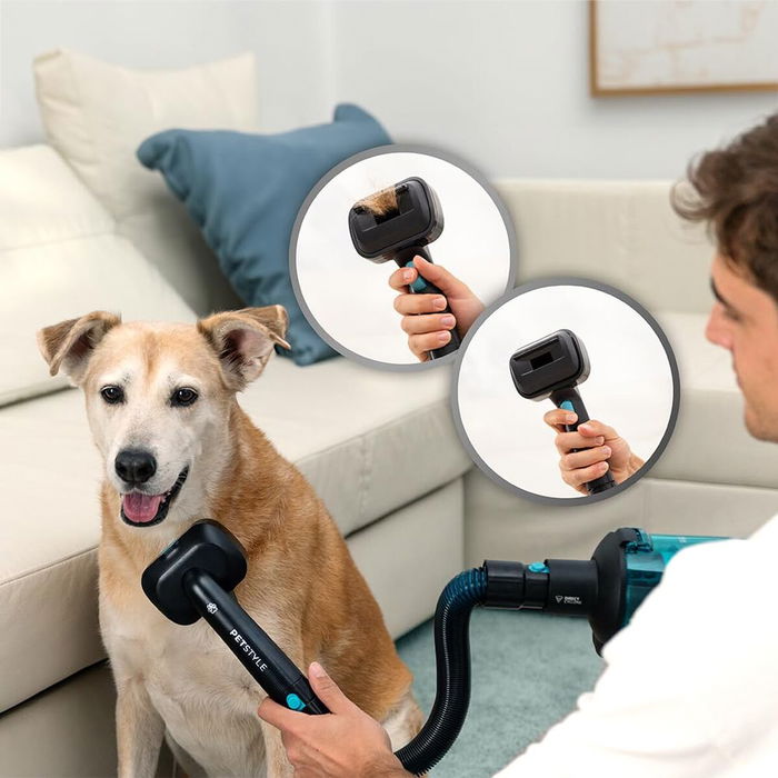 Aspirateur balai Cecotec RX50 Pet Flex 750 W