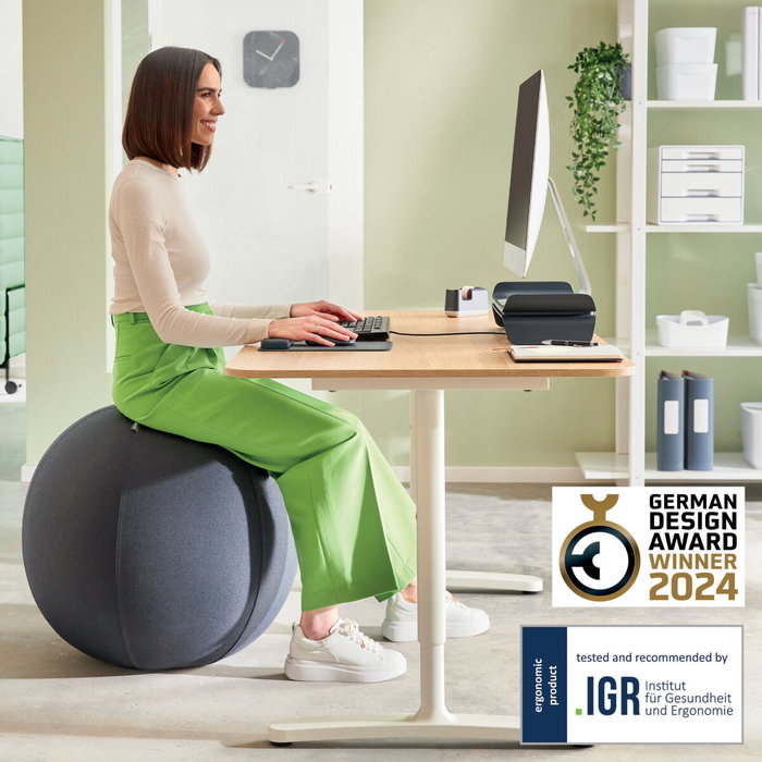 Leitz Siège gonflable Ergo Active Gris foncé