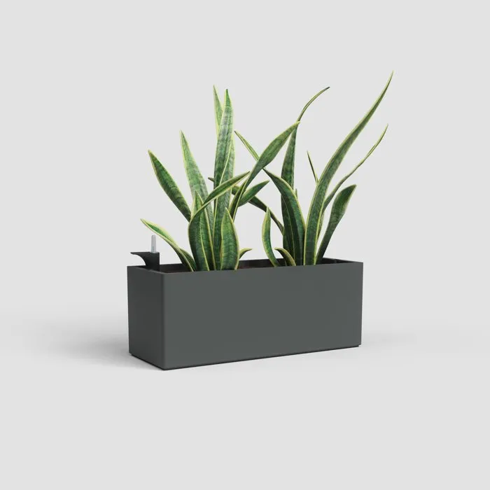 Artevasi Jardinière Rimini 20 x 51 x H 20 cm - 17 Litres - Design Contemporain en Plastique Gris Anthracite avec Holes de Drainage Artevasi Jardinière Rimini 20 x 51 x H 20 cm - 17 Litres - Design Contemporain en Plastique Gris Anthracite avec Holes de Drainage