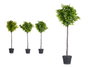 Ibergarden Arbre Fougère Vert Assortis 35x96x16 cm Plastique Noir/Vert (Set de 3)