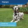 PetSafe Collier récepteur sans fil pour chien - Convient aux chiens > 3.6 kg - Batterie rechargeable