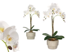 IBERGARDEN Orchidée avec 3 tiges et pot en ciment blanc