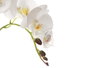 IBERGARDEN Orchidée avec 3 tiges et pot en ciment blanc