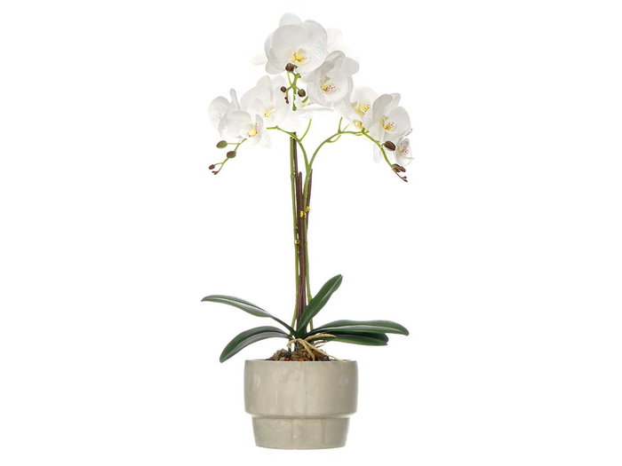 IBERGARDEN Orchidée avec 3 tiges et pot en ciment blanc