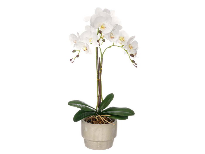 IBERGARDEN Orchidée avec 3 tiges et pot en ciment blanc