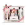 Idc Institute Coffret de 5 fleurs sauvages parfumées pour jardin, SCENTED GARDEN WILDFLOWERS