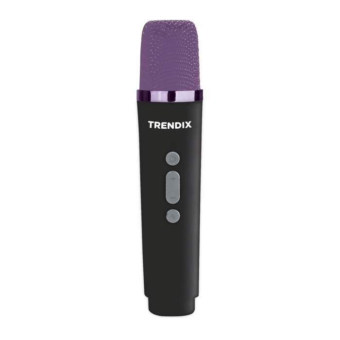 World Brands Karaoke Magic Melody avec 2 micros sans fil World Brands Karaoke Magic Melody avec 2 micros sans fil