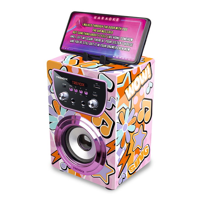 World Brands Karaoke Magic Melody avec 2 micros sans fil World Brands Karaoke Magic Melody avec 2 micros sans fil