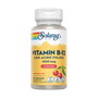 Solaray Vitamine B12 et Acide Folique 1000 mcg, 90 comprimés sublinguaux