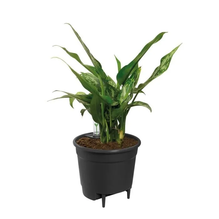Elho Pot de fleurs rond Self-watering Insert 28 - Noir - Diamètre 27.7 x Hauteur 25.5 cm - Plastique - 9 litres
