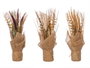 Ibergarden Ramillete Saco Cones Vieillis Assortis 15x34x15 cm en Plastique et Rafia (Set de 6)