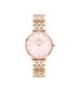 Daniel Wellington DW00100617 Rose