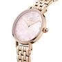Daniel Wellington DW00100617 Rose