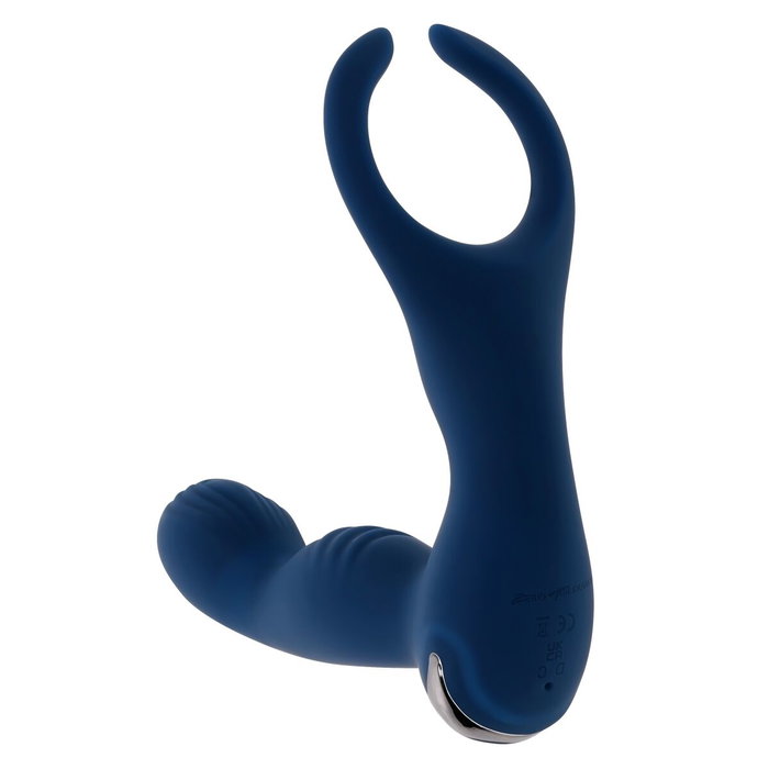 Vibromasseur anal Evolved Zero Tolerance Bleu