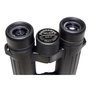 Braun Compagno 10x34 WP