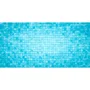 BSI Flotteur Doseur pour Piscine - Diffusion Lente de Galets de Chlore 200 g - Pour Piscines Moyennes et Grandes