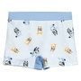 Cerdá Boxer de Bain Bluey pour Enfant de 4 Ans, Couleur Bleu Clair
