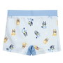 Cerdá Boxer de Bain Bluey pour Enfant de 4 Ans, Couleur Bleu Clair