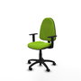 Chaise de bureau Algarra avec mécanisme de contact permanent de base, rembourrée en simili cuir couleur pistache. Équipée d'une base en polyamide noir, d'accoudoirs 1D et de roulettes en nylon de 50 mm.