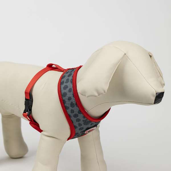 Cerda Harnais Premium pour Chien Minnie T4M:M/L - Taille M/L - Rouge