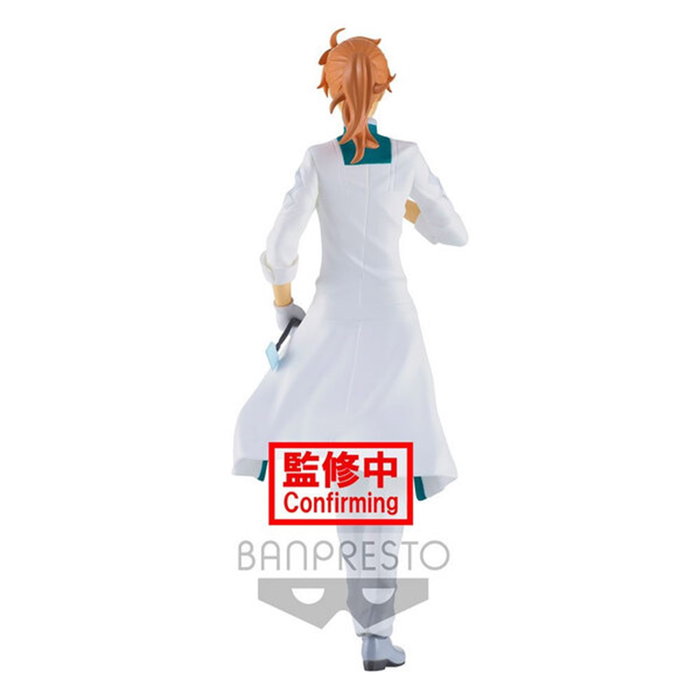 Banpresto Figure Fate Grand Order Romani Archaman BP18292