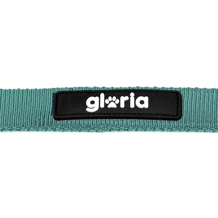Laisse pour Chien Gloria Turquoise S Laisse pour Chien Gloria Turquoise S