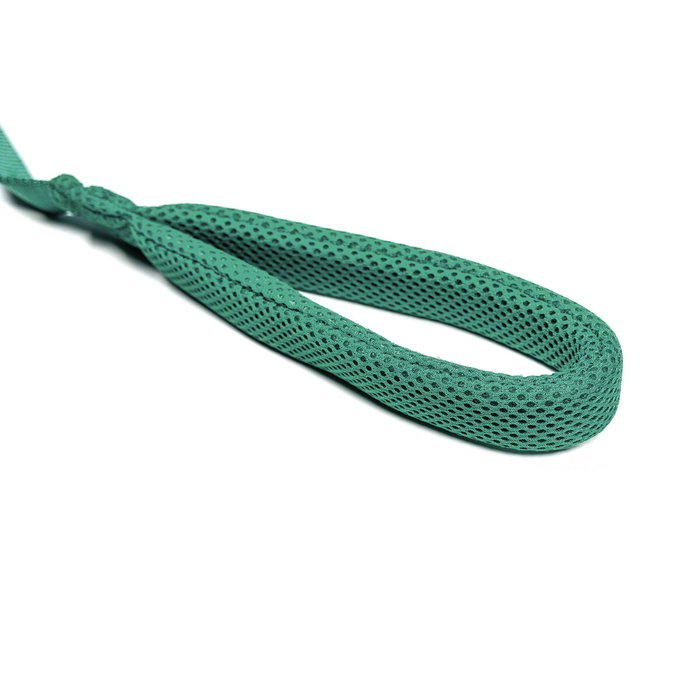 Laisse pour Chien Gloria Turquoise S Laisse pour Chien Gloria Turquoise S