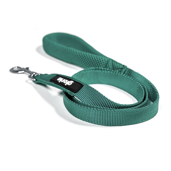 Laisse pour Chien Gloria Turquoise S Laisse pour Chien Gloria Turquoise S