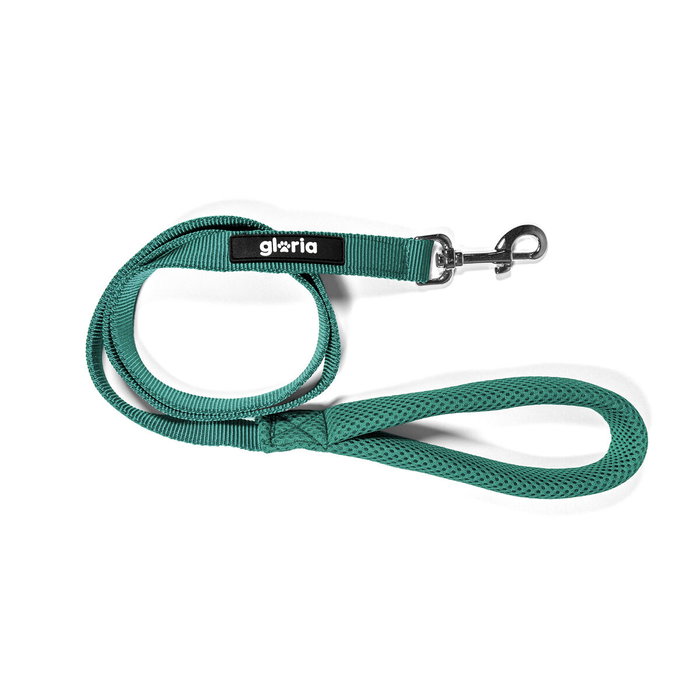 Laisse pour Chien Gloria Turquoise S Laisse pour Chien Gloria Turquoise S
