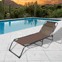 Marbueno Tumbona Plegable en Acier avec Coussin pour Jardin et Piscine 190x58x27 cm Marron 10001