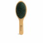 Idc Institute Brosse ovale à double poils OVAL BRUSH