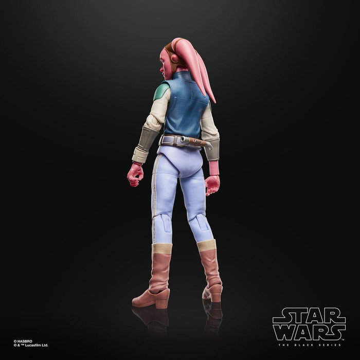 Hasbro Star Wars The Black Series Devon Izara - 15 cm Hasbro Star Wars The Black Series Devon Izara - 15 cm