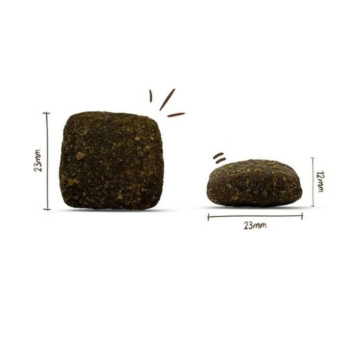 BOSCH Búfalo 2,5 kg BOSCH Búfalo 2,5 kg