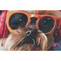 Home ESPRIT Cadre Moderne Chien 50 x 3,5 x 50 cm (2 Unités)