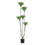 BigBuy Home Plante décorative PVC Ciment 40 x 40 x 170 cm