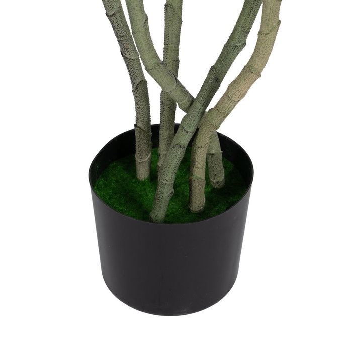 BigBuy Home Plante décorative PVC Ciment 40 x 40 x 170 cm