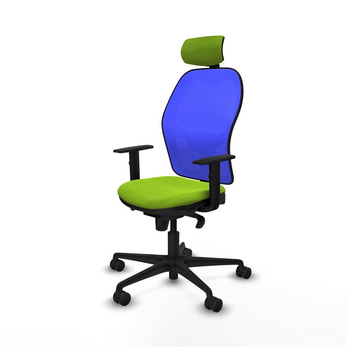 Piqueras y Crespo Chaise de Bureau Jorquera 1D036N2 Pistache