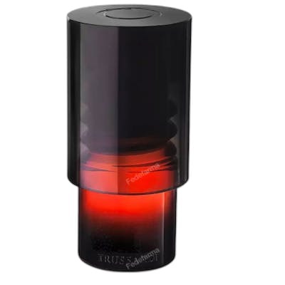 Trussardi Primo Eau de Parfum 100 ml