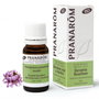 PRANAROM P.ACABADO Géranium Bourbon Bio 10ml