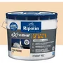 Ripolin Peinture Façade Protection Extrême, Finition Mate, Teinte Pierre, 10 Litres - Sous-couche et finition 2 en 1, Haute adhérence et pouvoir couvrant