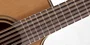 TAKAMINE P3DC-12