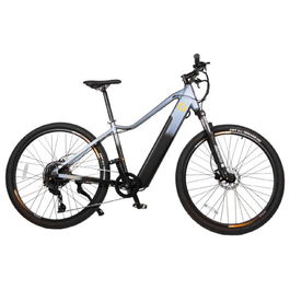 Vélo Électrique Cecotec Avanti 250 W 29"
