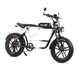 Vélo Électrique Youin BK7000 MIAMI 250 W 20"