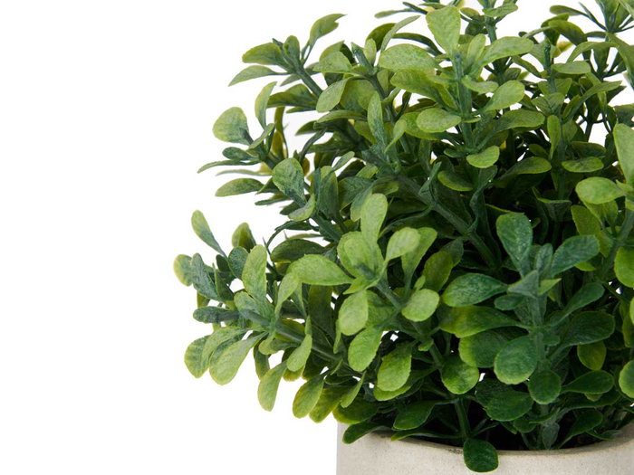 Ibergarden Pot en ciment avec fleurs vertes assorties 18x21x12 cm (Set de 12)