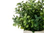 Ibergarden Pot en ciment avec fleurs vertes assorties 18x21x12 cm (Set de 12)